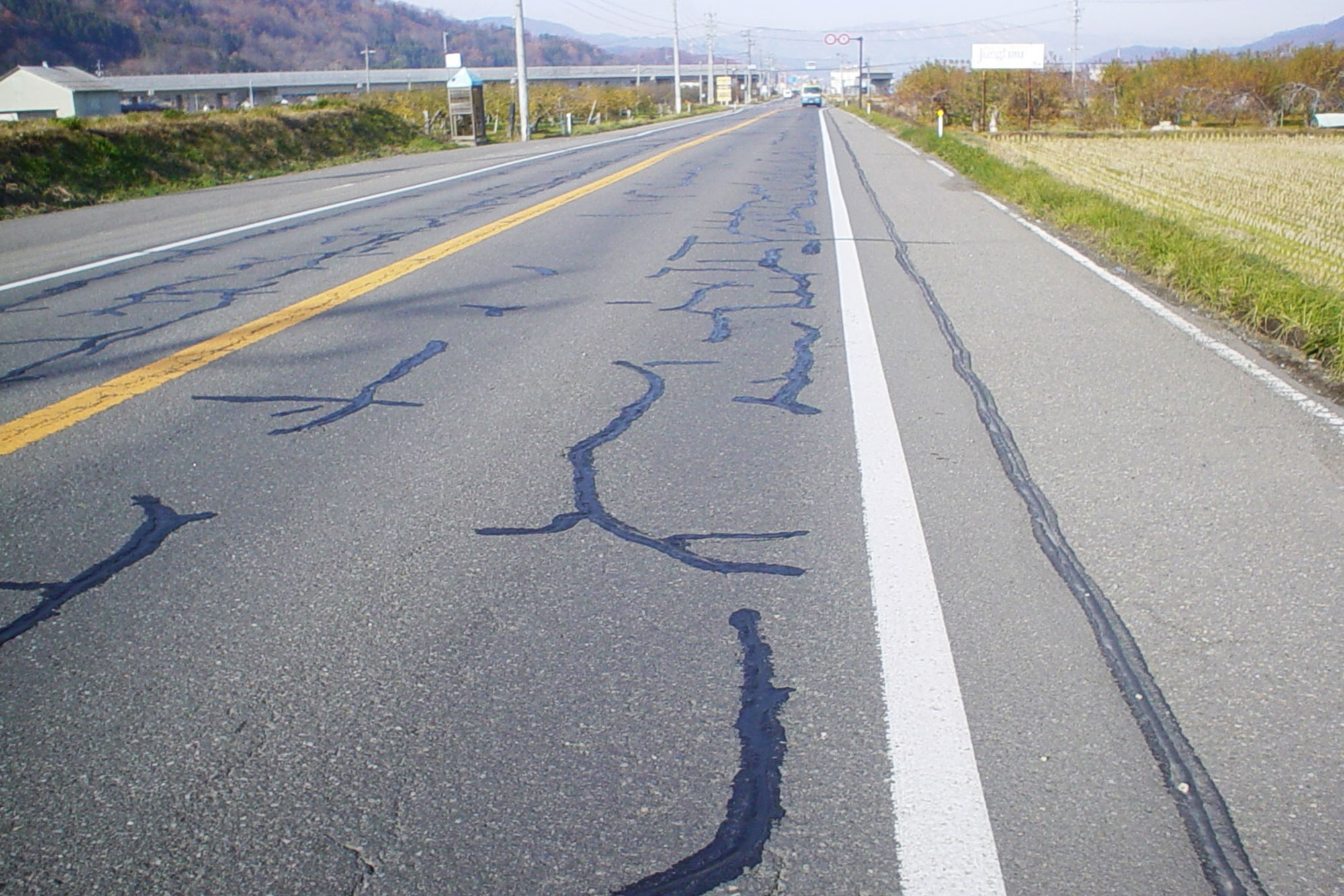 道路